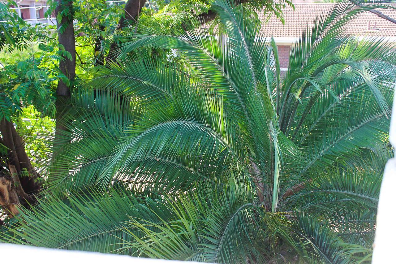 Lolo'S 1Bed Apt-Best Location-2Balconies ฮาราเร ภายนอก รูปภาพ